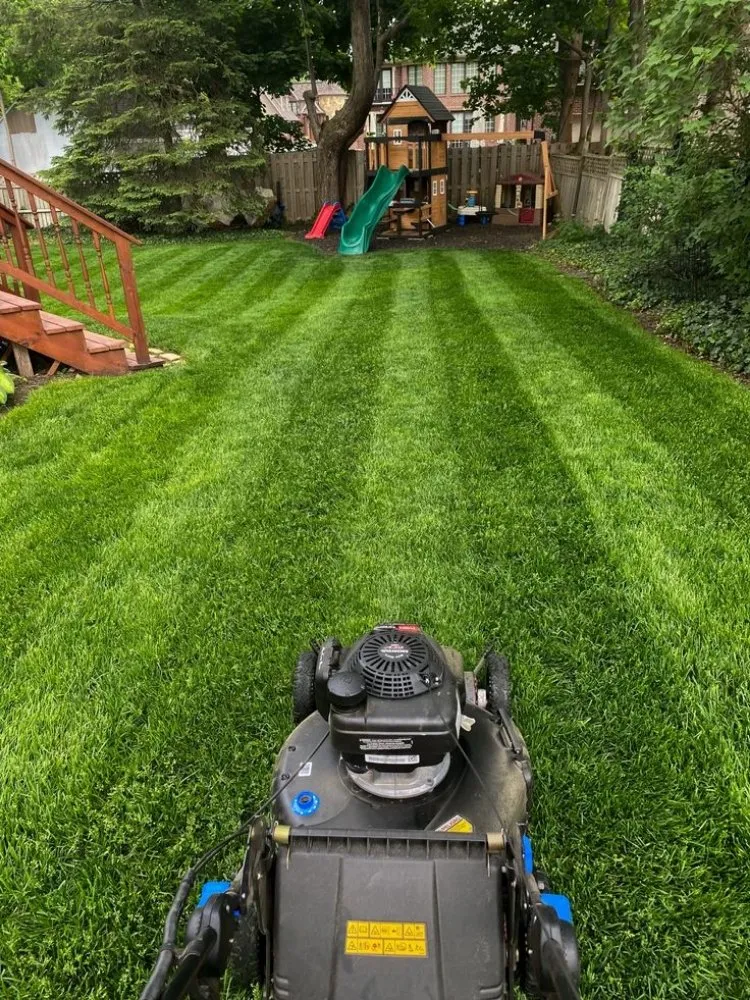 Trusted outdoor landscaping experts serving Frackville, PA - Grass Kickers