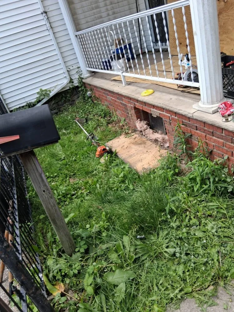 Local lawn care service near you in Frackville, PA by Grass Kickers