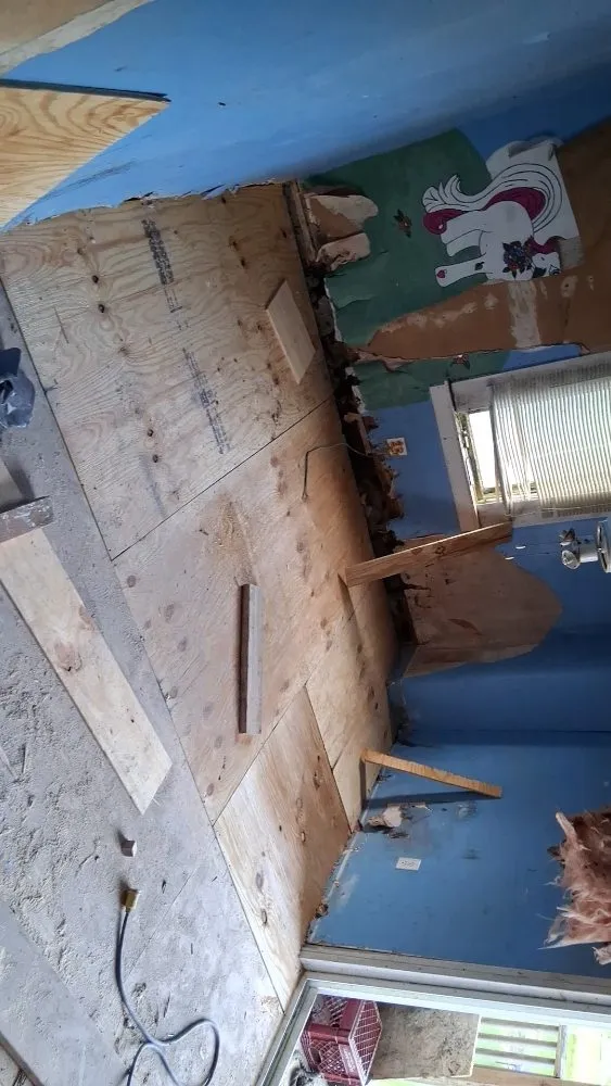 Reliable lawn mowing service experts serving Frackville, PA - Grass Kickers