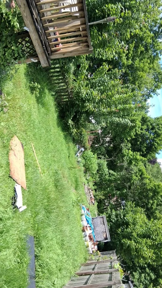 Local garden landscaping in Frackville, PA by Grass Kickers