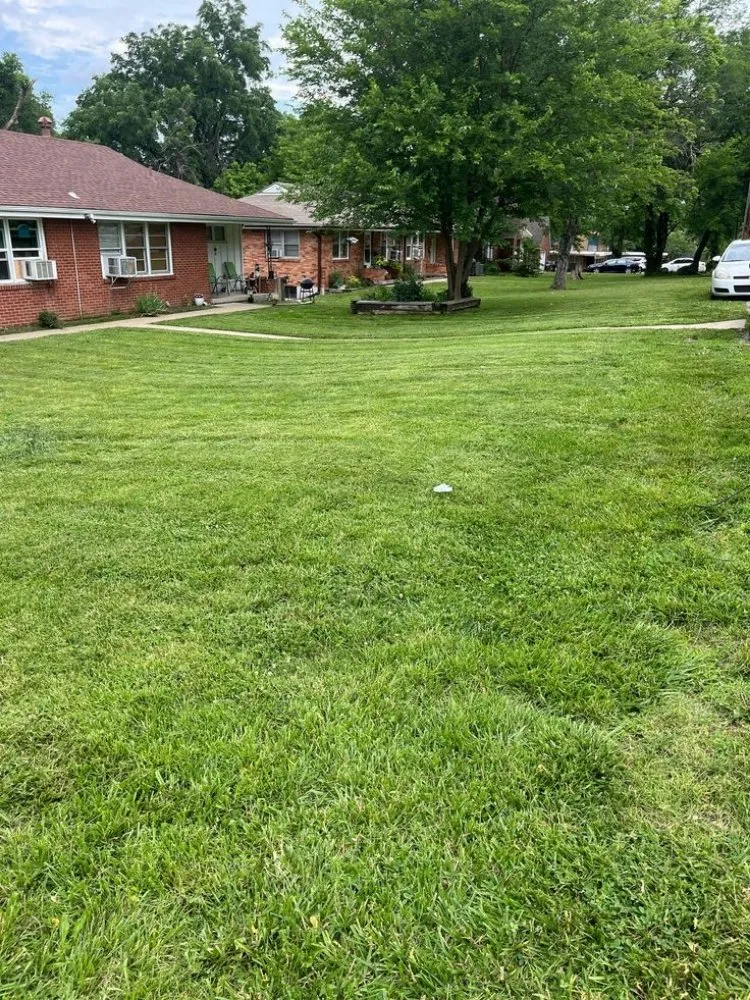 Local yard cleanup service experts serving Frackville, PA - Grass Kickers
