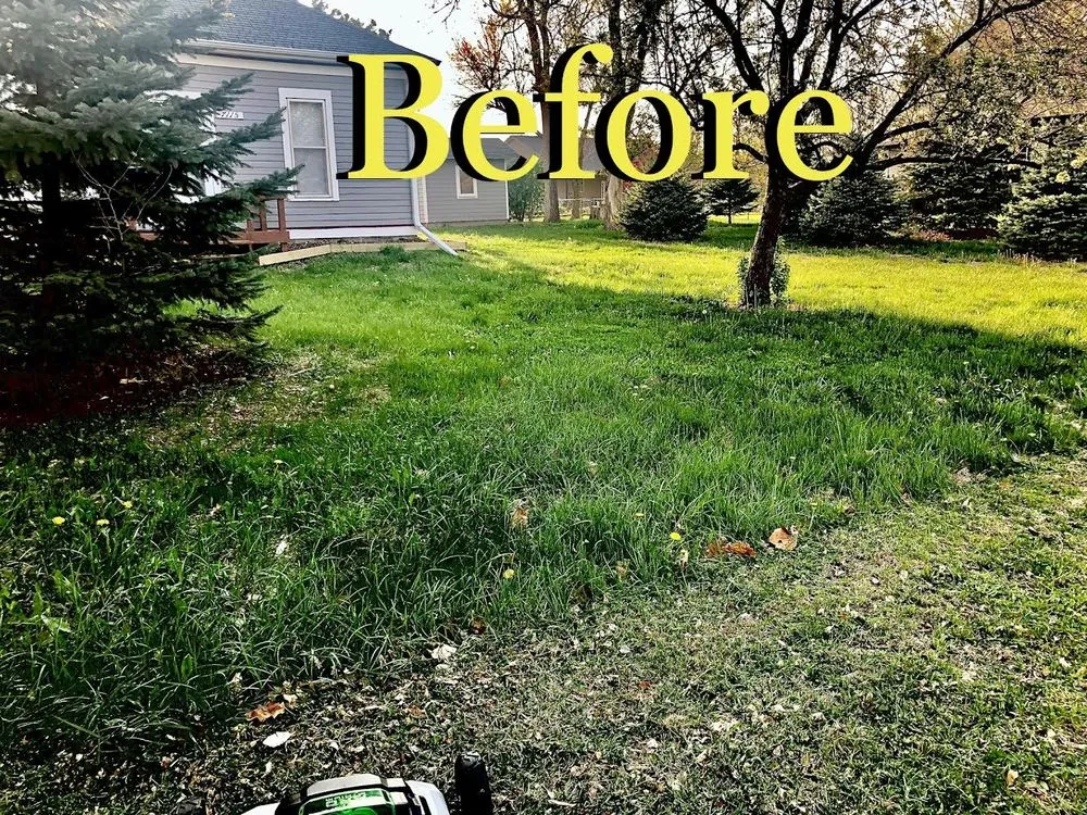 Reliable yard cleanup service experts serving Crete, NE - Grass King