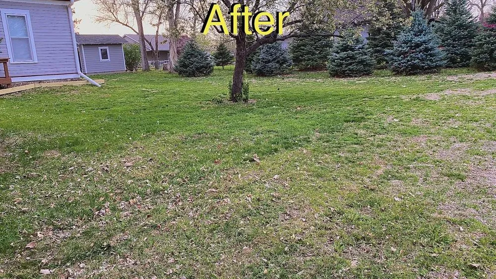 Trusted residential landscaping with custom design across Crete, NE - Grass King