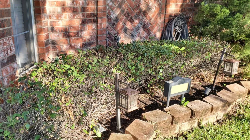 Professional lawn care service in Keller, TX by Grass King