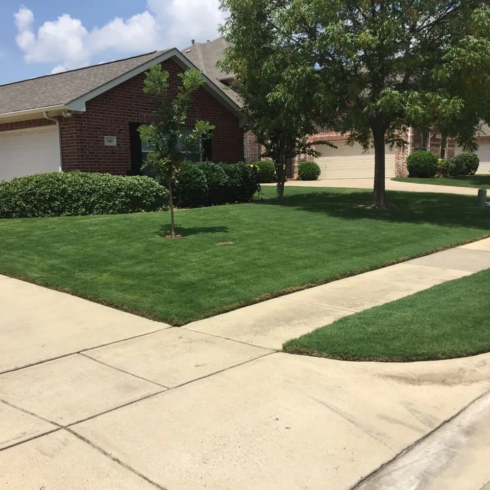 Professional yard cleanup service experts serving Keller, TX - Grass King