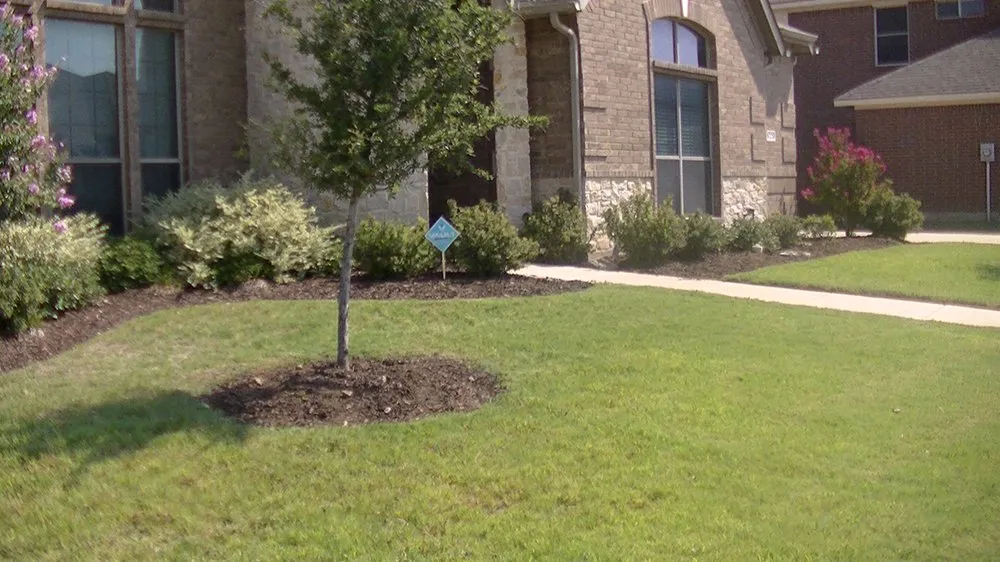 Custom outdoor landscaping in Keller, TX by Grass King