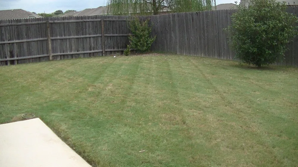 Professional residential landscaping with custom design across Keller, TX - Grass King