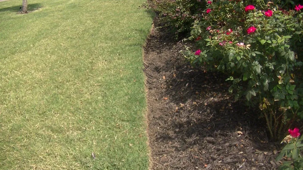 Affordable landscaping services with custom design in Keller, TX by Grass King