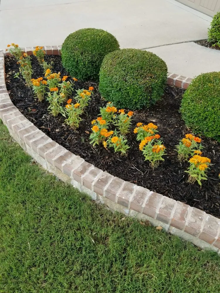 Top-rated outdoor landscaping in Keller, TX by Grass King