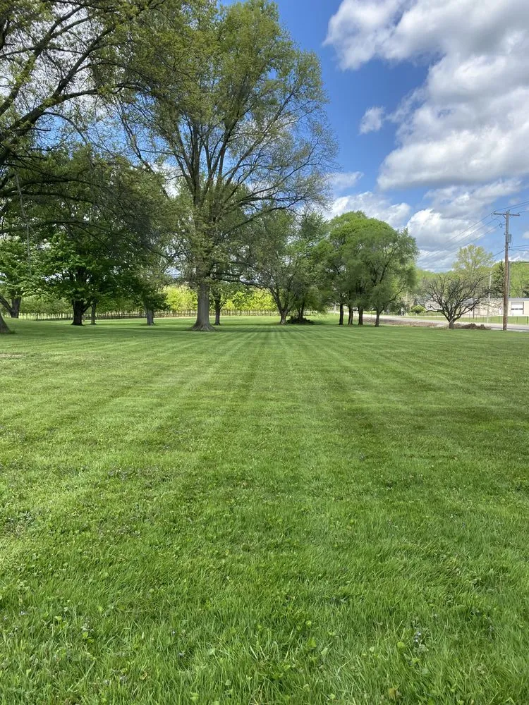 Professional lawn care service in Barberton, OH - Grass King Lawn Care