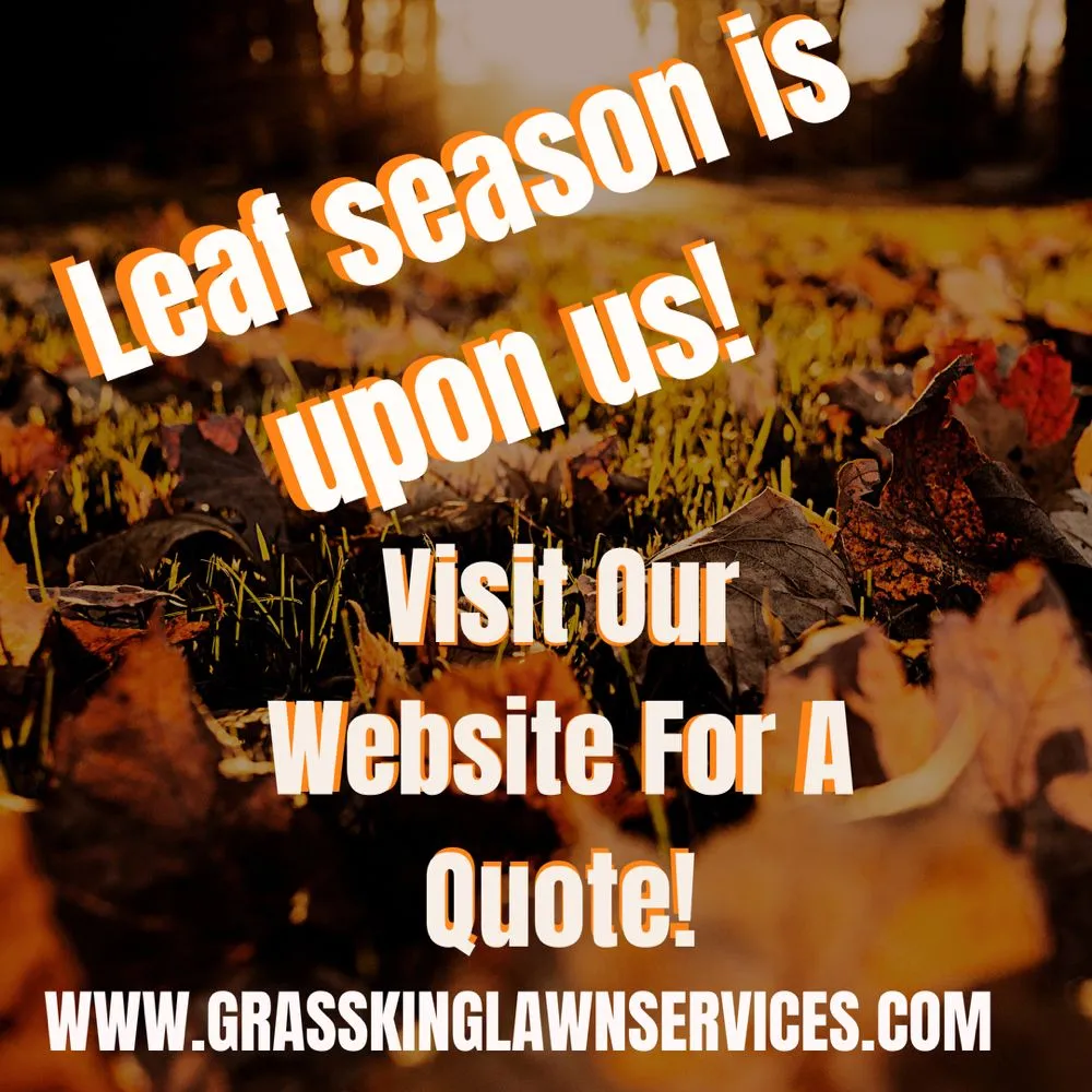 Professional lawn mowing service experts serving Dallas, GA - Grass King Lawn Services