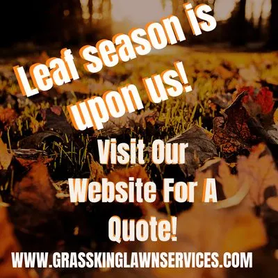 Grass King Lawn Services Logo