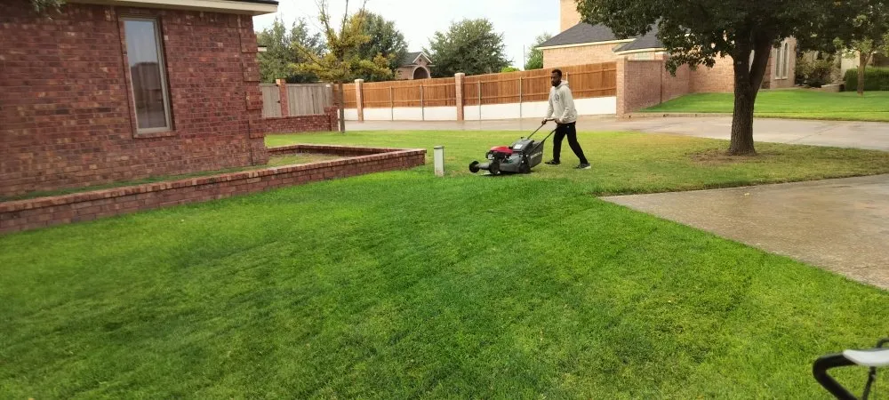 Professional lawn care service experts serving Lubbock, TX - Grass King Lawn& Tree Care