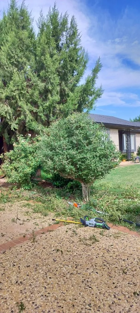 Trusted landscape design experts serving Lubbock, TX - Grass King Lawn& Tree Care