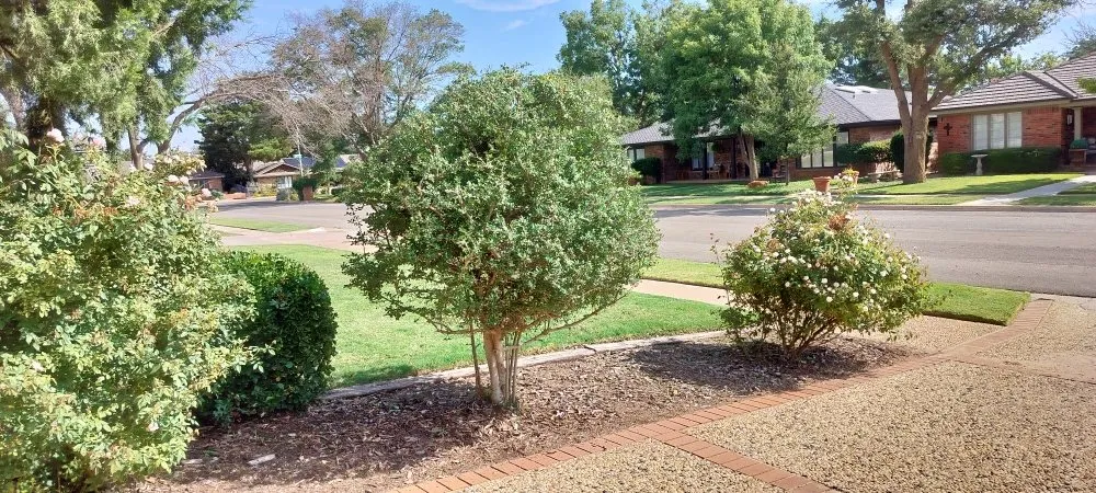 Professional yard cleanup service with custom design across Lubbock, TX - Grass King Lawn& Tree Care