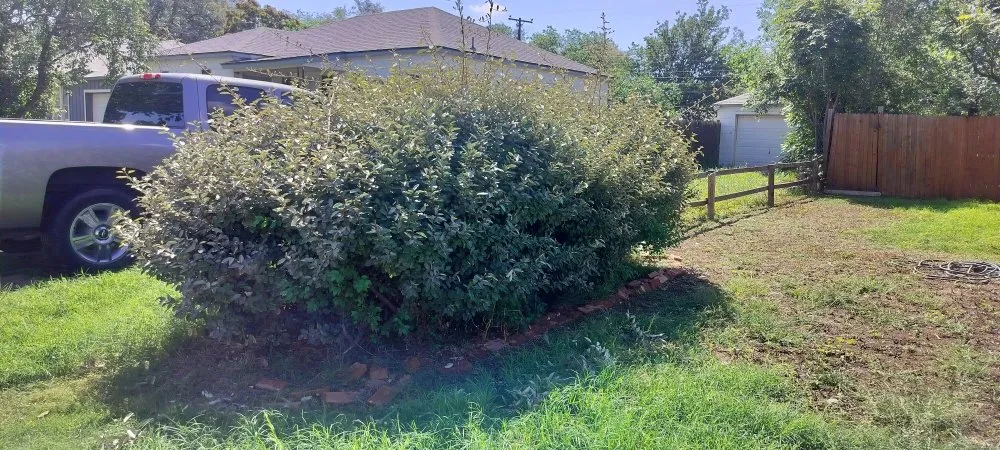 Trusted yard maintenance in Lubbock, TX - Grass King Lawn& Tree Care