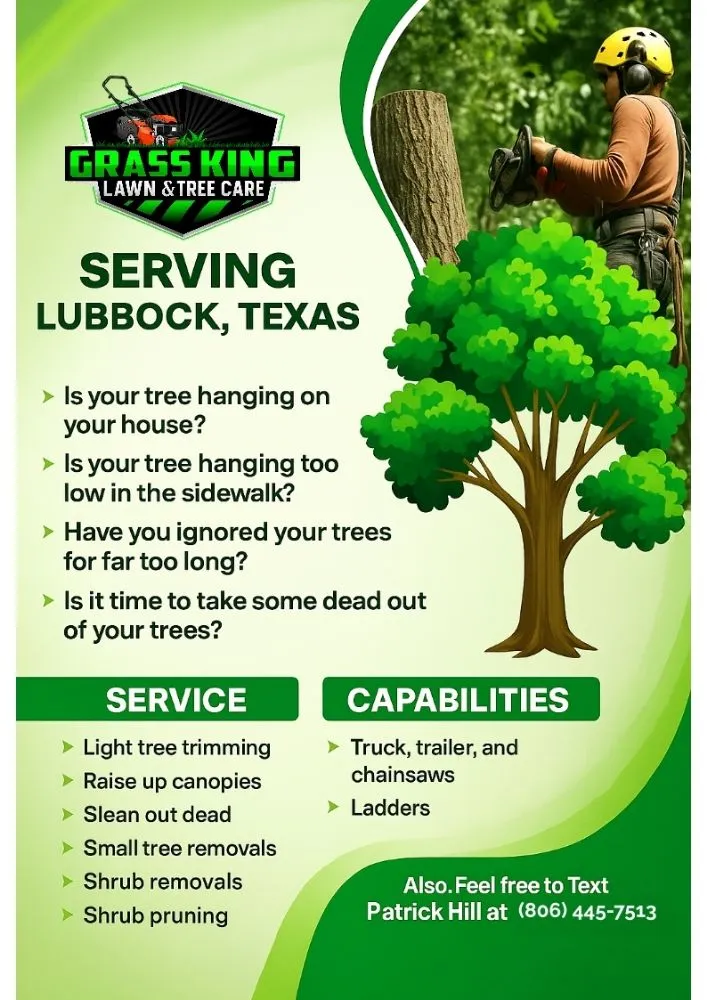 Trusted yard maintenance for homes in Lubbock, TX by Grass King Lawn& Tree Care