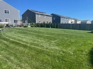 Reliable lawn mowing service for outdoor upgrades across Raleigh, NC - Grass King Mowing Division