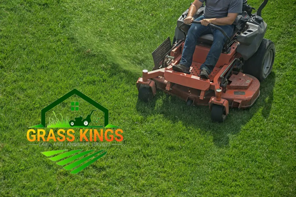 Professional residential landscaping with custom design in Kinston, NC by Grass Kings