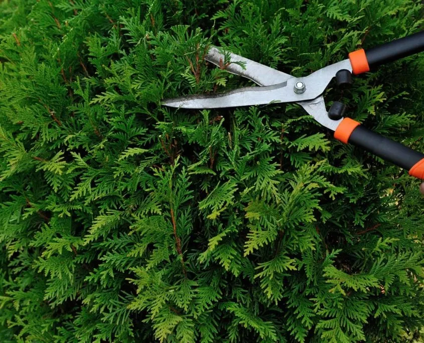 Local outdoor landscaping experts serving Conroe, TX - Grass Knuckles Lawn Care