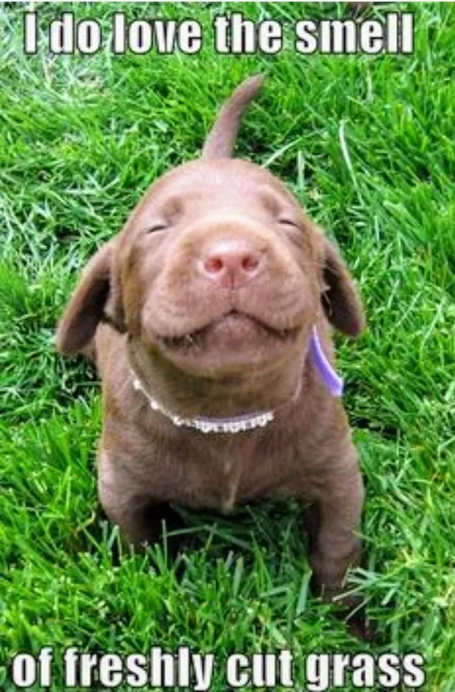 Trusted outdoor landscaping in Knoxville, TN - Grass Kutters Of Knoxville