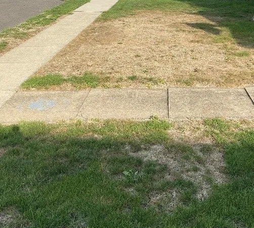 Expert landscaping services in Canal Fulton, OH - Grass Master