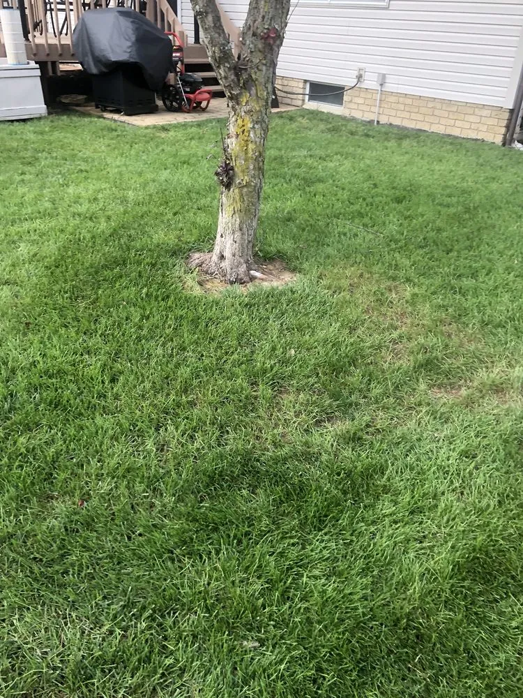 Top-rated yard maintenance in Canal Fulton, OH by Grass Master
