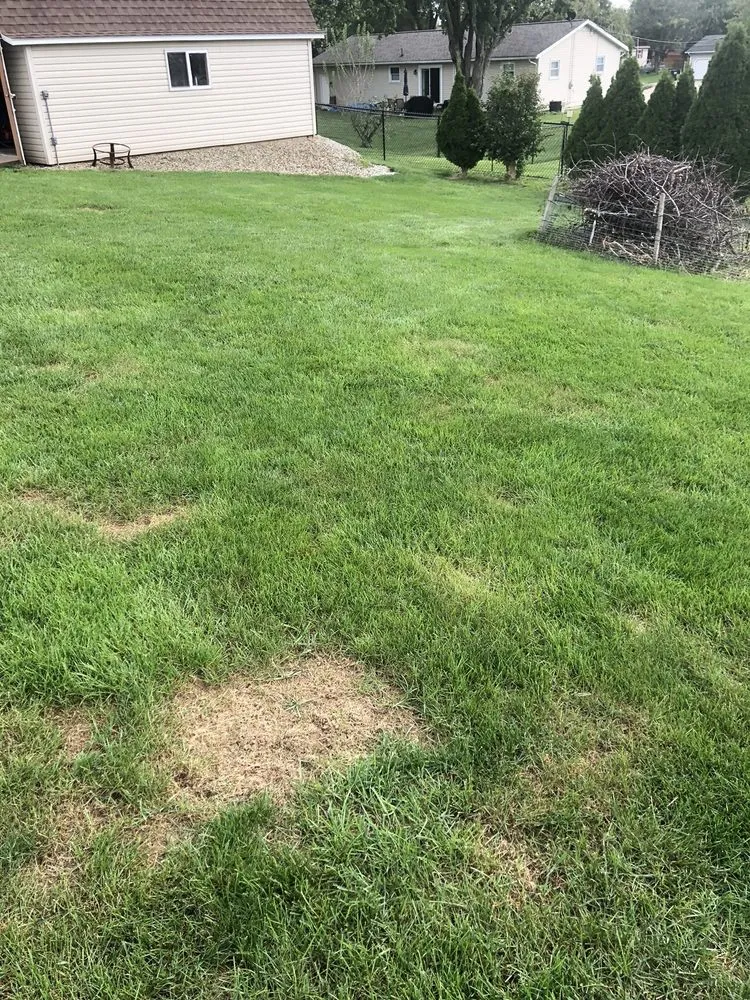 Professional residential landscaping for residential properties in Canal Fulton, OH by Grass Master