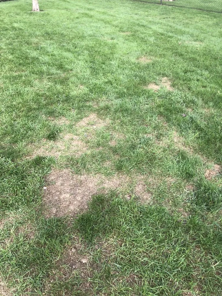 Affordable garden landscaping for beautiful yards in Canal Fulton, OH by Grass Master