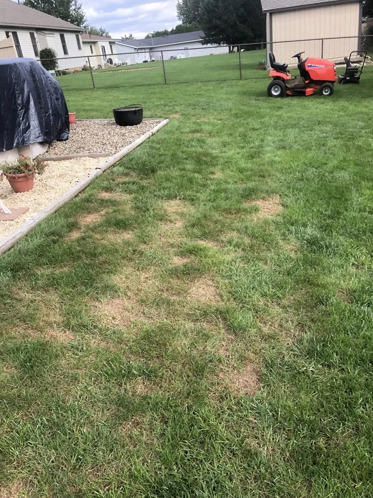 Expert landscape design experts serving Canal Fulton, OH - Grass Master