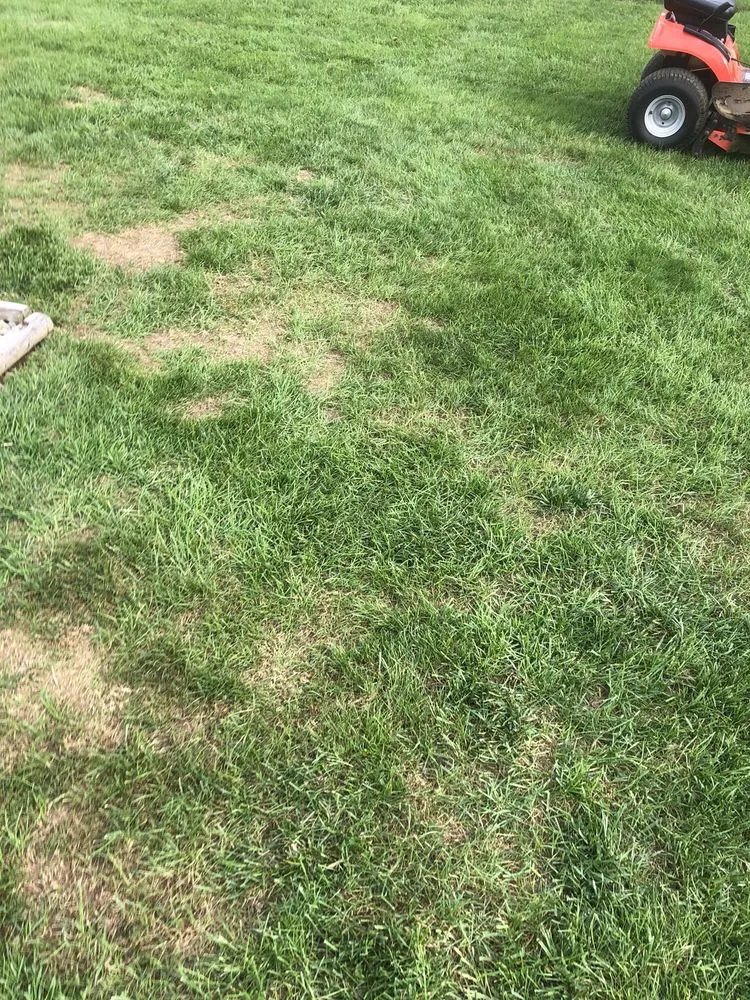 Reliable landscape design for outdoor upgrades in Canal Fulton, OH by Grass Master