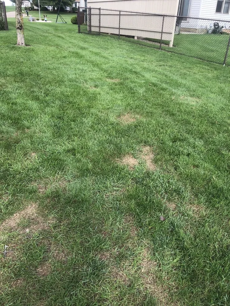 Local residential landscaping in Canal Fulton, OH by Grass Master