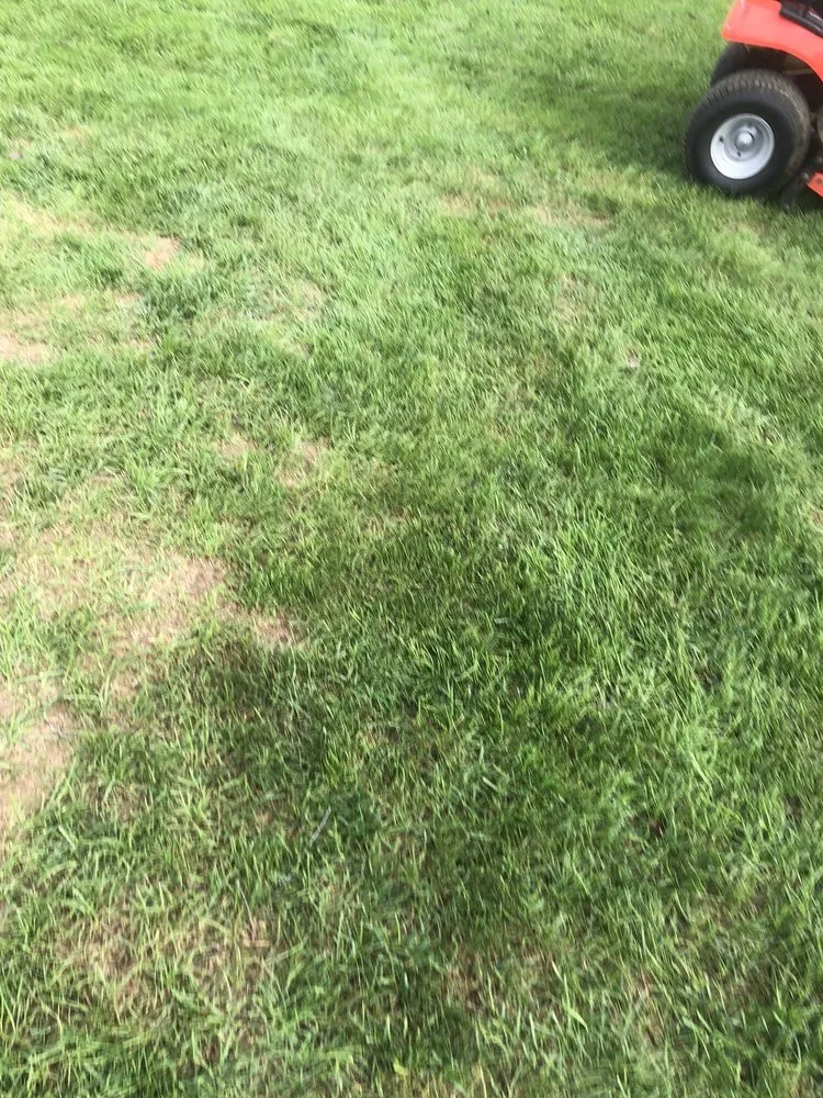 Affordable lawn mowing service experts serving Canal Fulton, OH - Grass Master