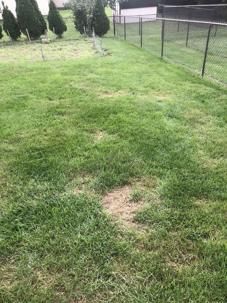 Expert outdoor landscaping for residential properties in Canal Fulton, OH by Grass Master