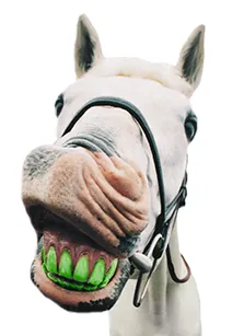 Reliable garden landscaping in Canal Fulton, OH by Grass Master