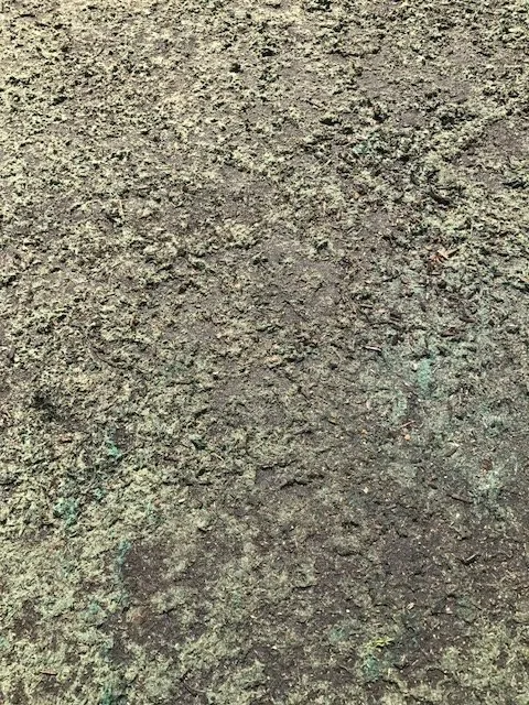 Professional yard maintenance in Woodinville, WA by Grass Master Hydroseeding