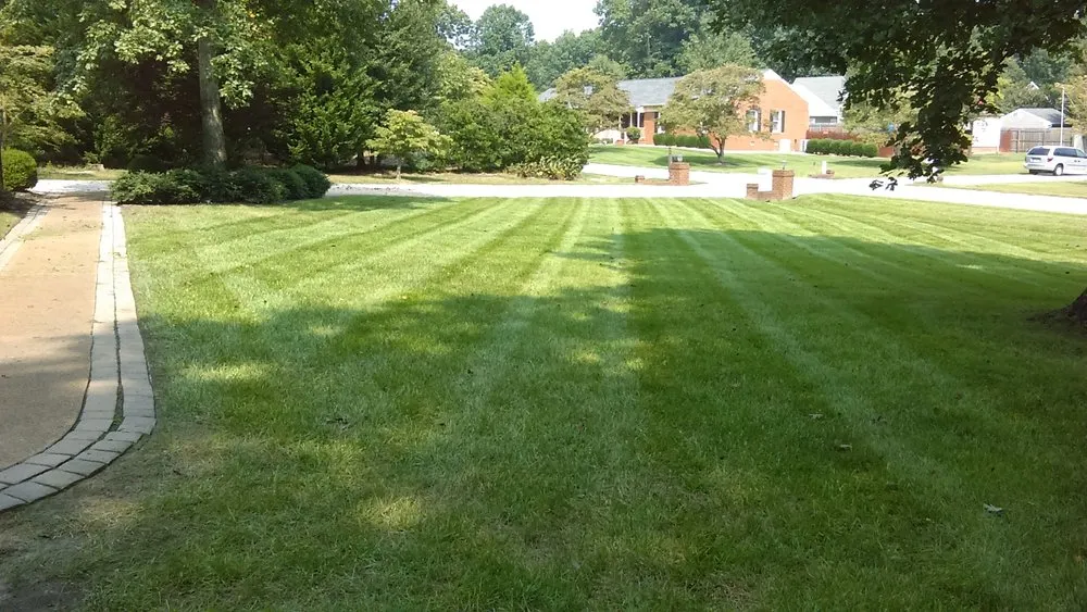 Affordable yard cleanup service experts serving South Chesterfield, VA - Grass Master Lawn and Landscape