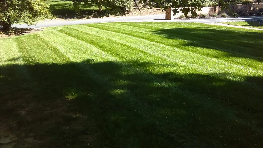 Professional lawn care service in South Chesterfield, VA - Grass Master Lawn and Landscape