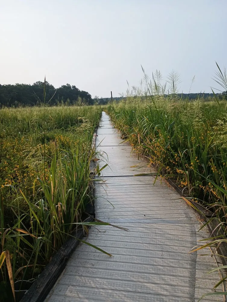 Expert landscape installation experts serving South Chesterfield, VA - Grass Master Lawn and Landscape