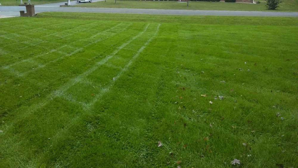 Trusted lawn care service experts serving South Chesterfield, VA - Grass Master Lawn and Landscape