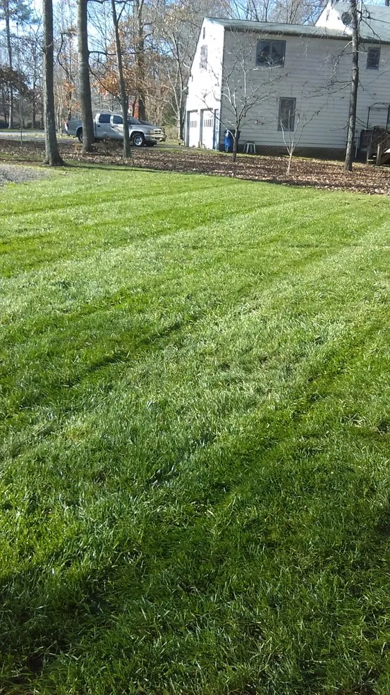 Trusted lawn mowing service experts serving South Chesterfield, VA - Grass Master Lawn and Landscape