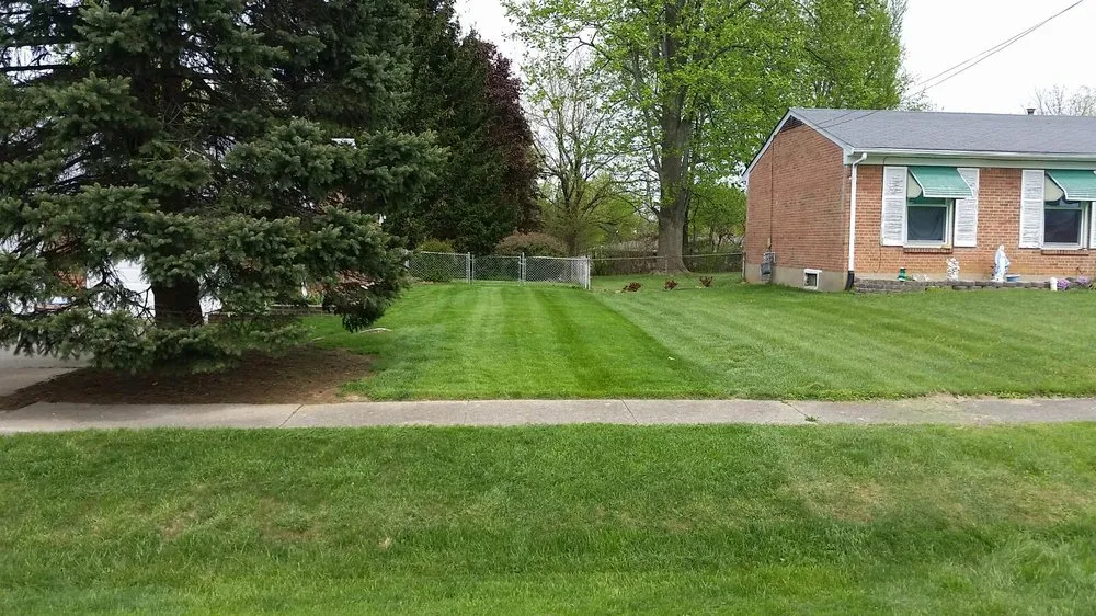 Expert lawn care service for residential properties in Vine Grove, KY by Grass Master Lawn and Landscaping & More