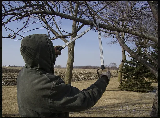 Local garden landscaping in Algona, IA by Grass Masters