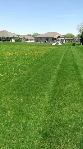 Local landscape design in Algona, IA - Grass Masters