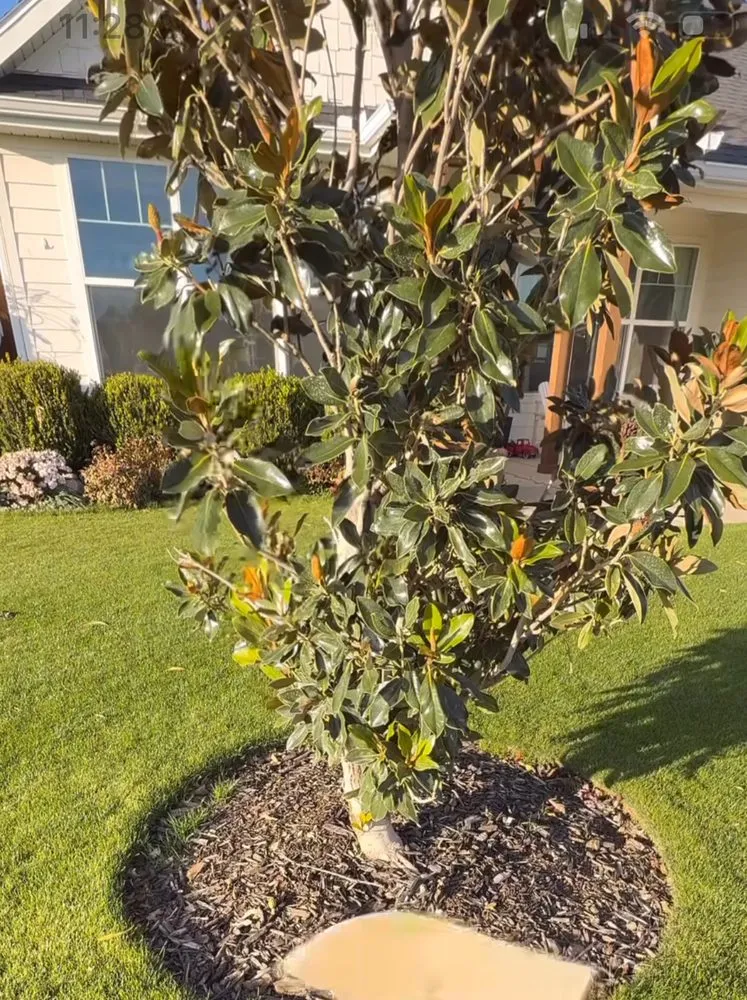 Custom residential landscaping for year-round maintenance across Athens, GA - Grass Masters