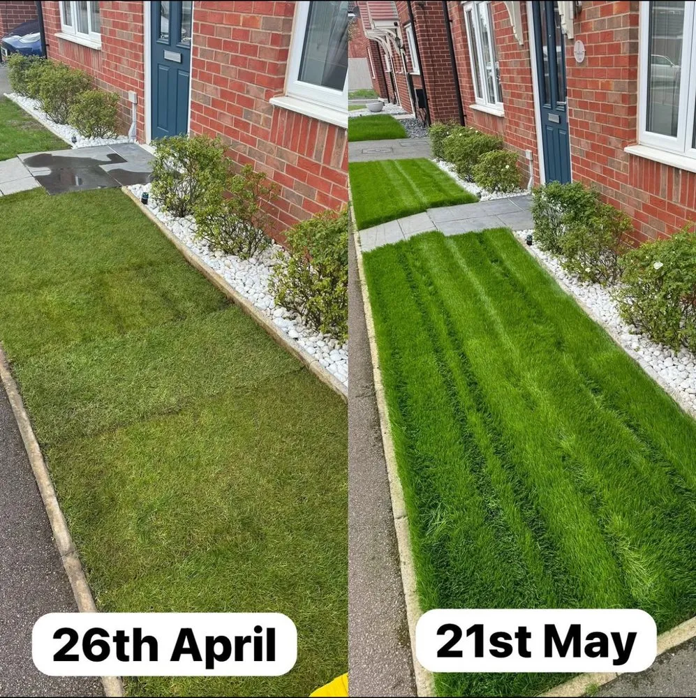 Professional landscaping services experts serving Athens, GA - Grass Masters