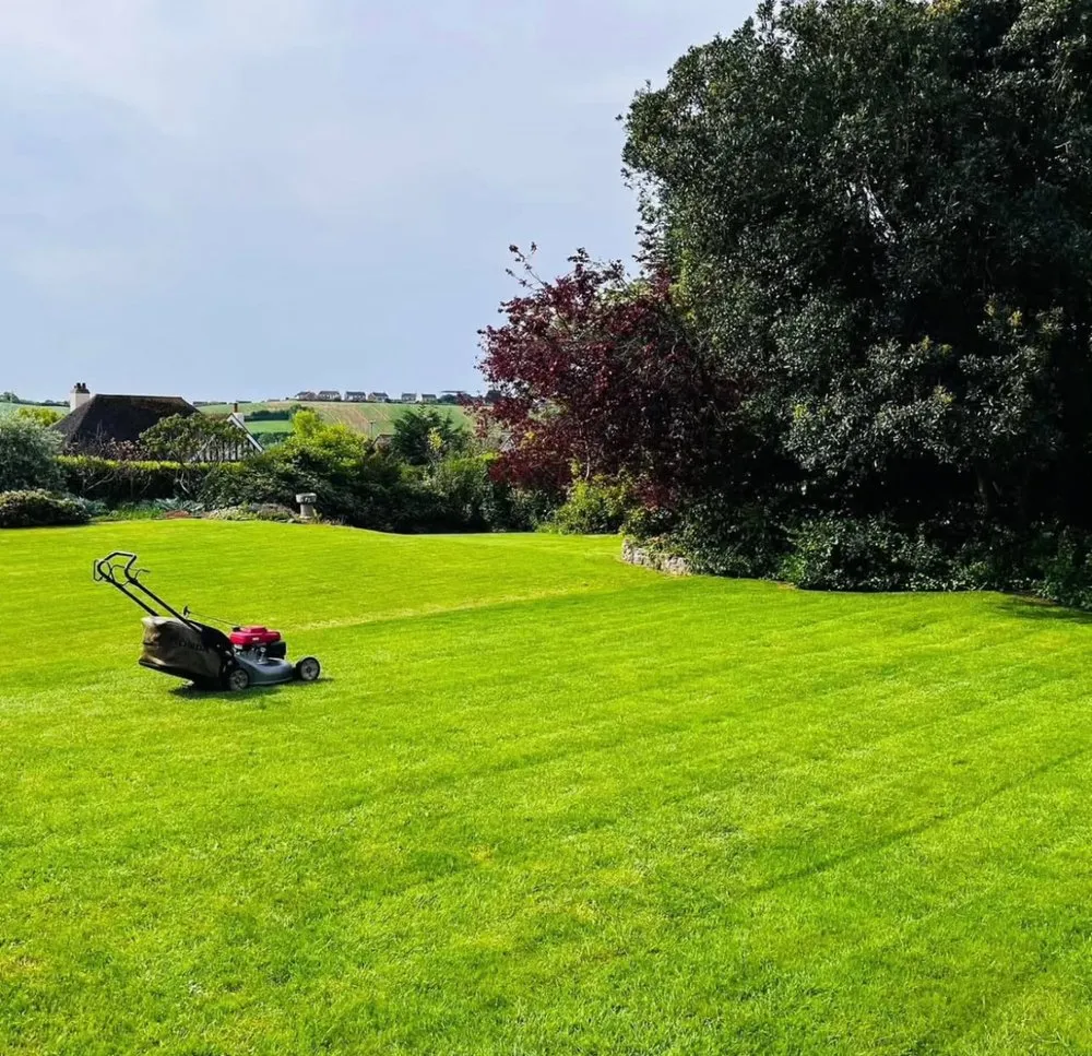 Top-rated lawn mowing service for year-round maintenance in Athens, GA by Grass Masters