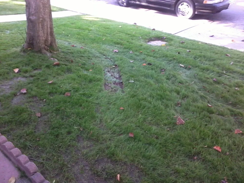 Top-rated garden landscaping with custom design across Bakersfield, CA - Grass Masters