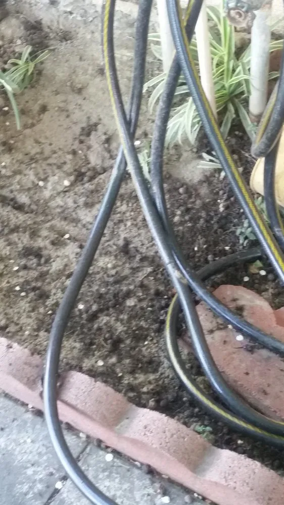 Custom yard cleanup service in Bakersfield, CA by Grass Masters