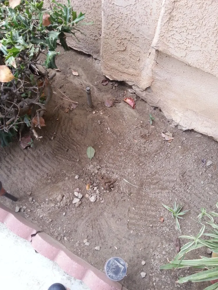 Custom yard maintenance experts serving Bakersfield, CA - Grass Masters